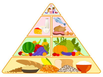 C:\Users\Komp\Desktop\food-pyramid.png